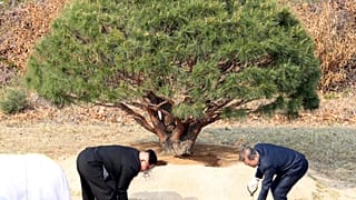 Große Ankündigungen in Korea