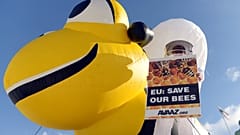 La UE actúa para proteger a las abejas