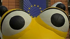 Евросоюз борется с гибелью пчёл