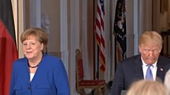 Меркель-Трамп: об Иране, стали и России