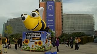 EU nations back ban on insecticides to protect honey bees