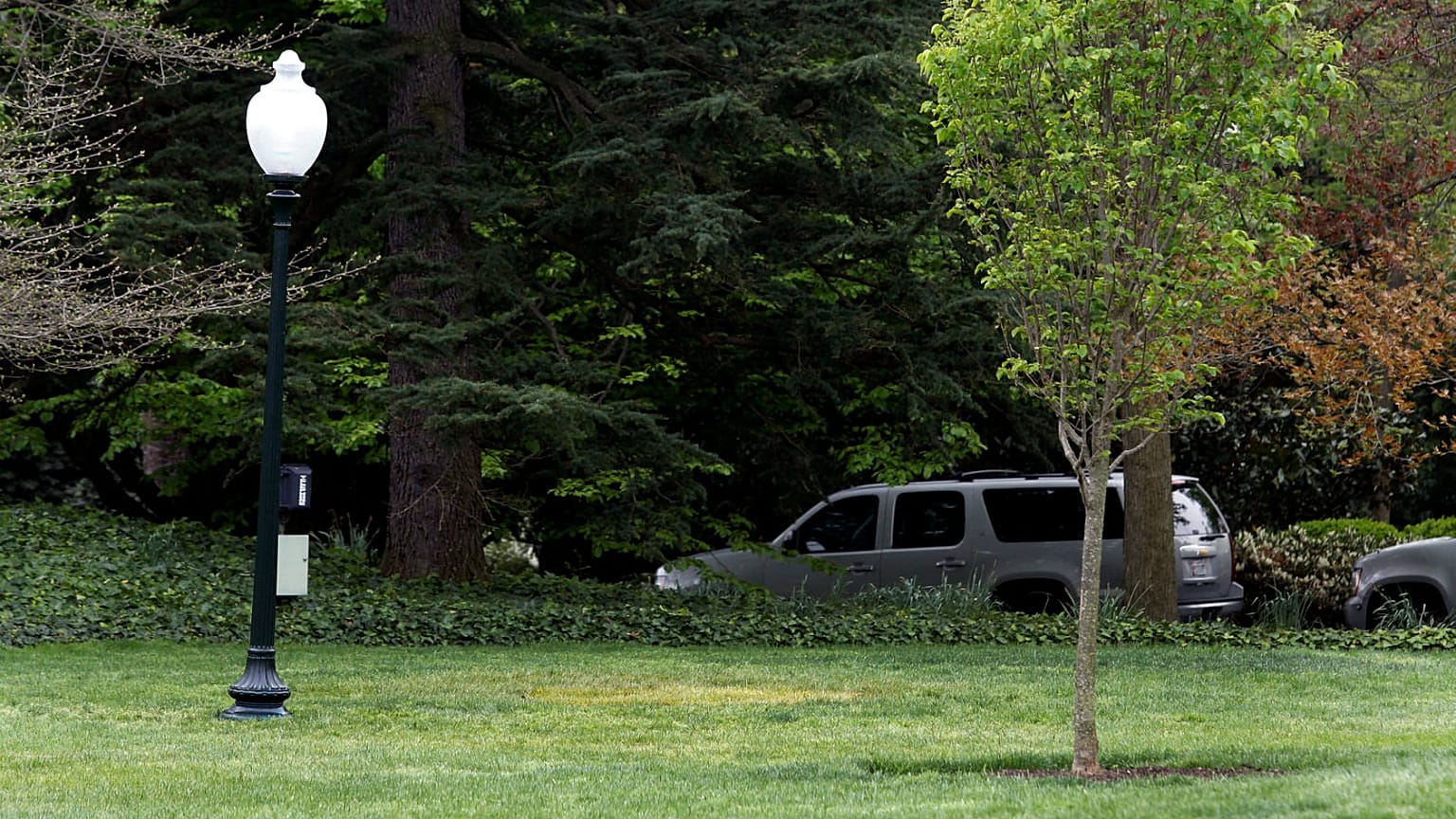 Tree sapling Macron gave to Trump appears to have disappeared from White House lawn