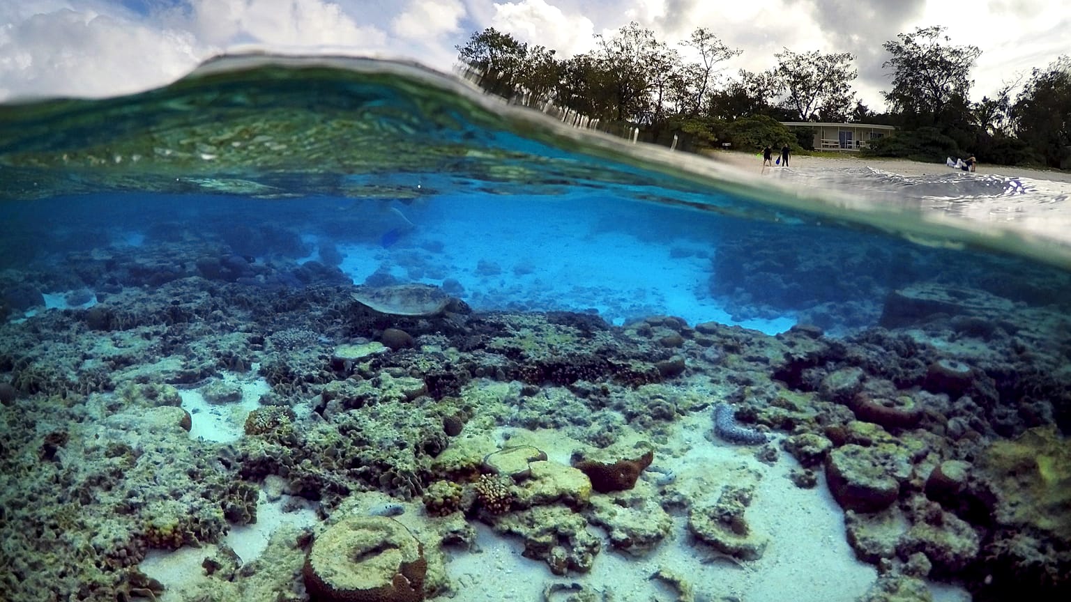 Australie: des millions pour la Grande barrière de corail