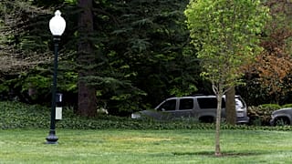 Baum aus Trumps Garten verschwunden: Wo ist Macrons Geschenk?