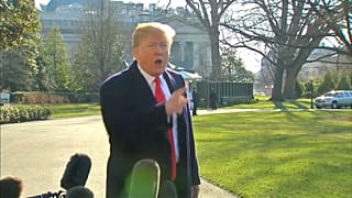 Mueller vs Trump