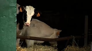 El impacto del 'brexit' en la Política Agraria Común