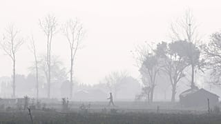 Maioria da população mundial respira ar contaminado
