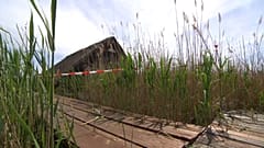 Tote im Neusiedler See: Verdächtiger geständig