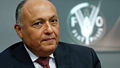 الخارجية المصرية: "إرسال قوات عربية إلى سوريا أمر وارد"