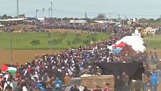 Abbasz maradt a PFSZ elnöke