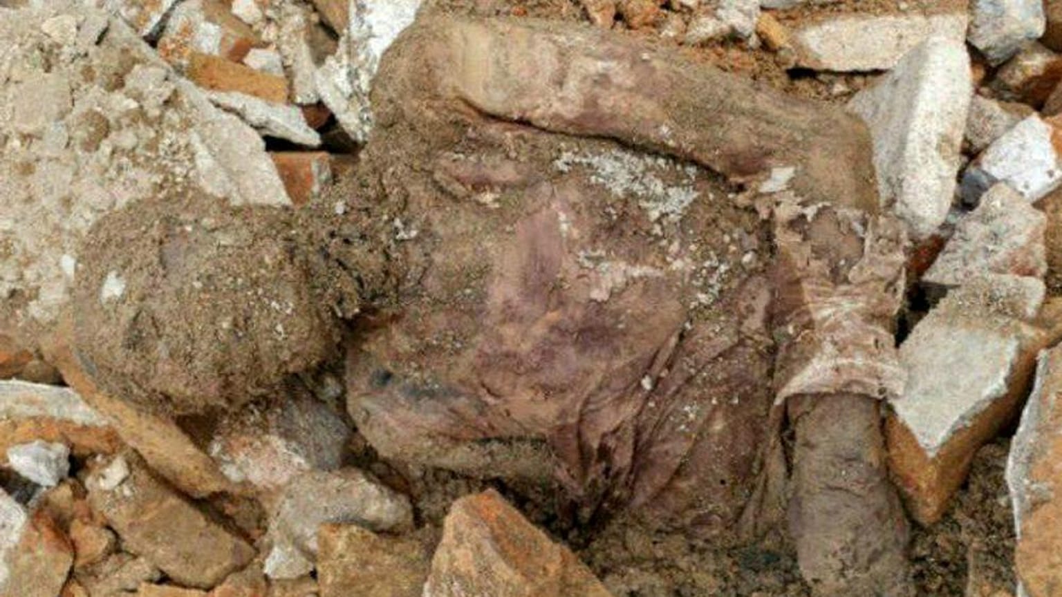 فرماندار شهرری درباره مومیایی منسوب به رضا شاه: مرده‌ای بود که پیدا و دفن شد