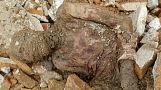 فرماندار شهرری درباره مومیایی منسوب به رضا شاه: مرده‌ای بود که پیدا و دفن شد