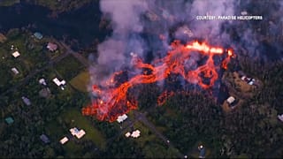 Гавайцы спасают животных