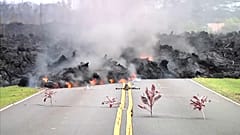 Los hawaianos vuelven a casa a recoger a sus mascotas