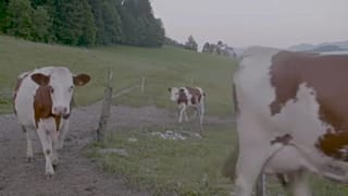 ЕС сократит сельскохозяйственные дотации