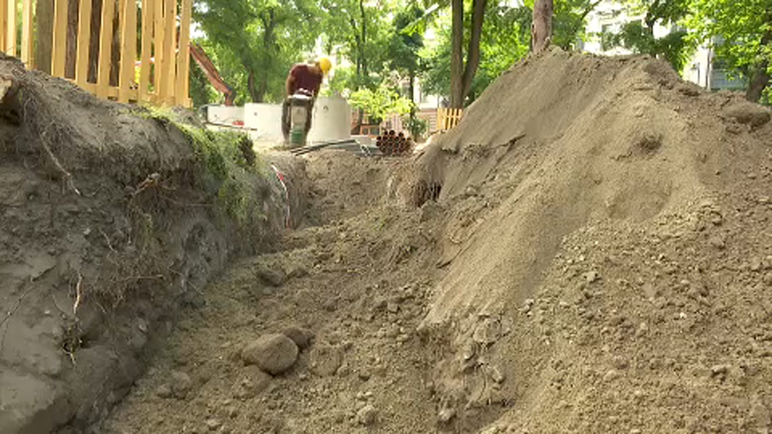 Katonasírokat őriznek a fák a Múzeumkertben 