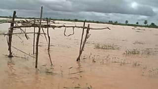Trágica rotura de una presa en Kenia: hay decenas de muertos