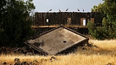 Golan