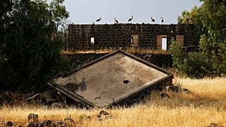 Golan