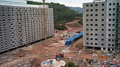 High rise pig farm in China