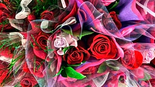 Illustrationsbild