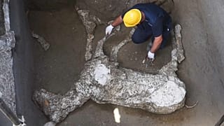 Il cavallo di Pompei