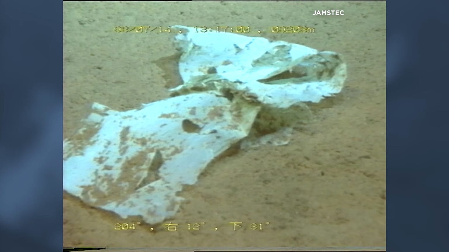 We've found the world's deepest plastic bag, say scientists
