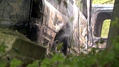 Basque police investigate blaze that destroys 35 ambulances