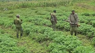 British tourists kidnapped in DR Congo released