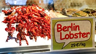 Folyami rákinvázió Berlinben
