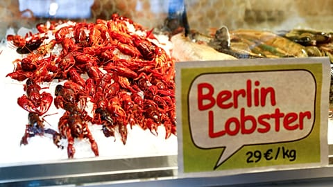 Folyami rákinvázió Berlinben