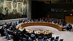 Security Council members meet