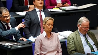 Alice Weidel 