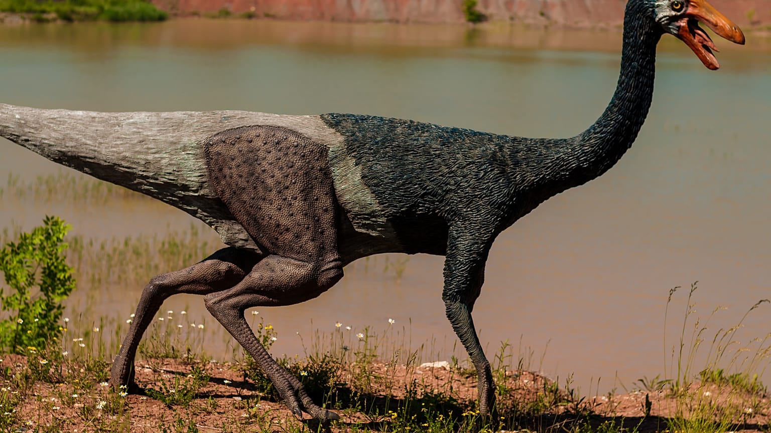 Les dinosaures, parents poules pour leurs oeufs
