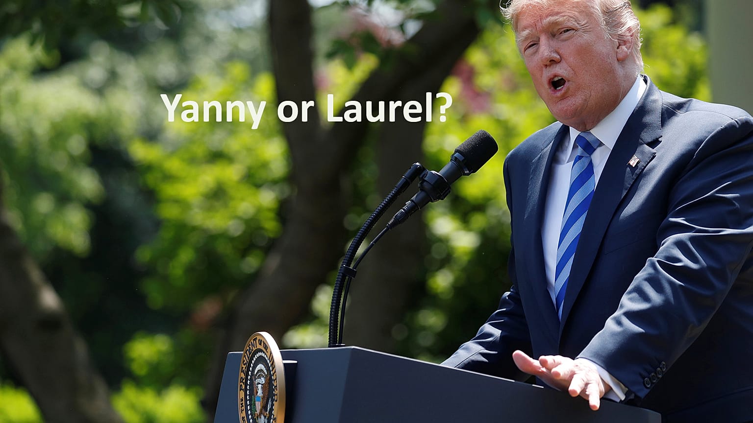 Anche Trump dice la sua su "Yanny o Laurel"... proponendo una terza soluzione