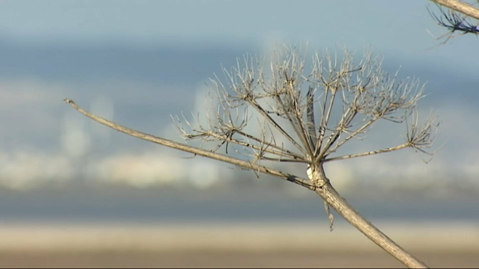 Climat : une conférence à Nicosie