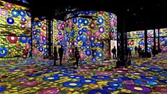 Klimt mal ganz anders in Paris - 150.000 Besucher in einem Monat