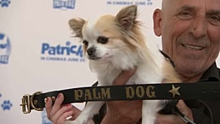 Et la Palme du meilleur chien est attribuée à...
