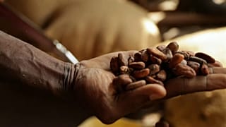 Le chocolat, or noir en voie de disparition