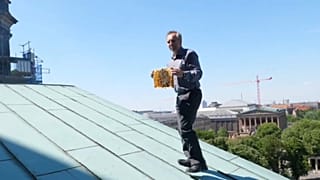 Sind Bienen in Sekten? Nein, sie gehen in die Kirche!