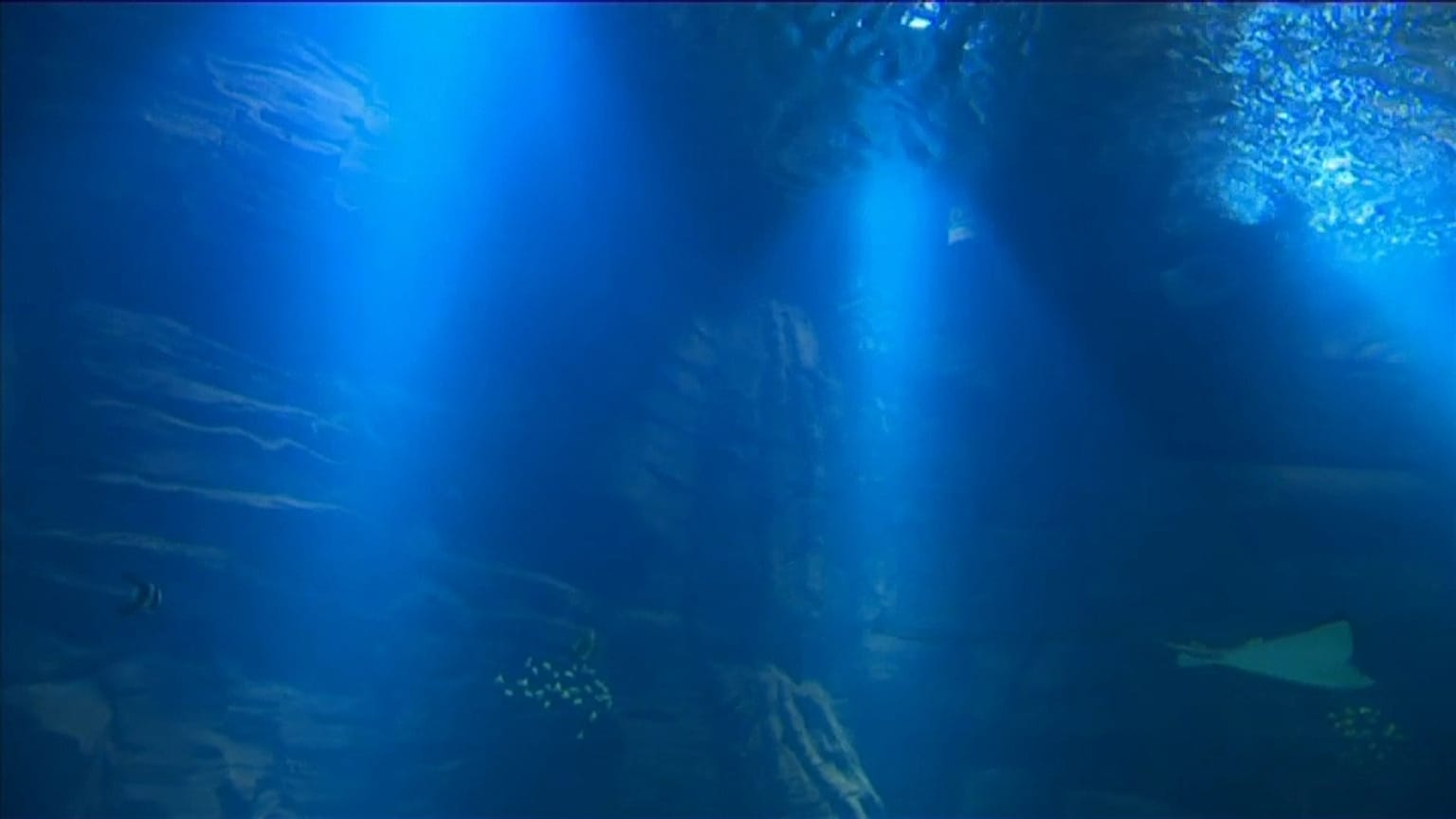 El acuario más grande de Europa