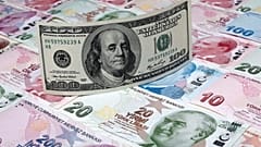 العملة التركية والدولار