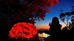 Animation Film: «Μαμά, ποιος πραγματικά ήμουν;» 