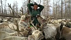 Die Dhuka in der Mongolei: Traditionen in Gefahr