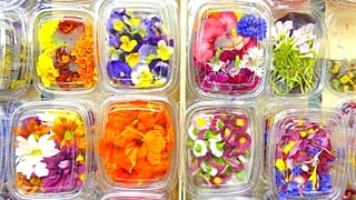 Las flores eléctricas se cuelan en la cocina