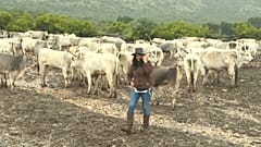 La transumanza, dal Molise all'Unesco