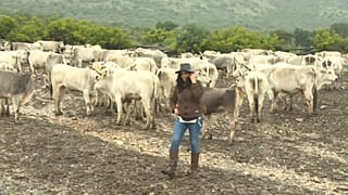 La transumanza, dal Molise all'Unesco