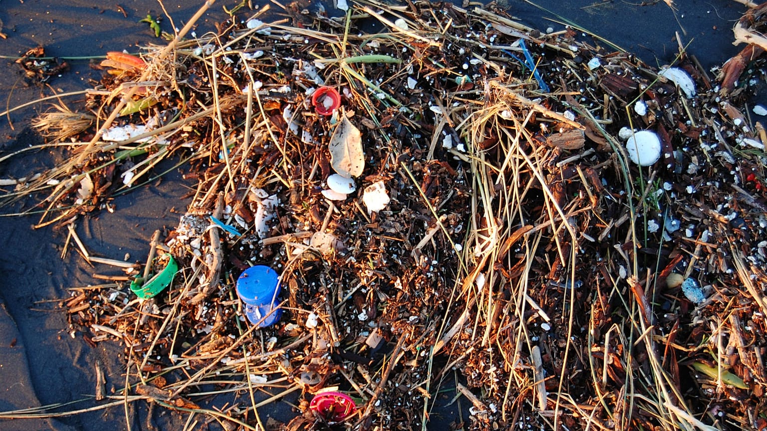 Plastic washed ashore on Pacific Ocean beach in San Francisco