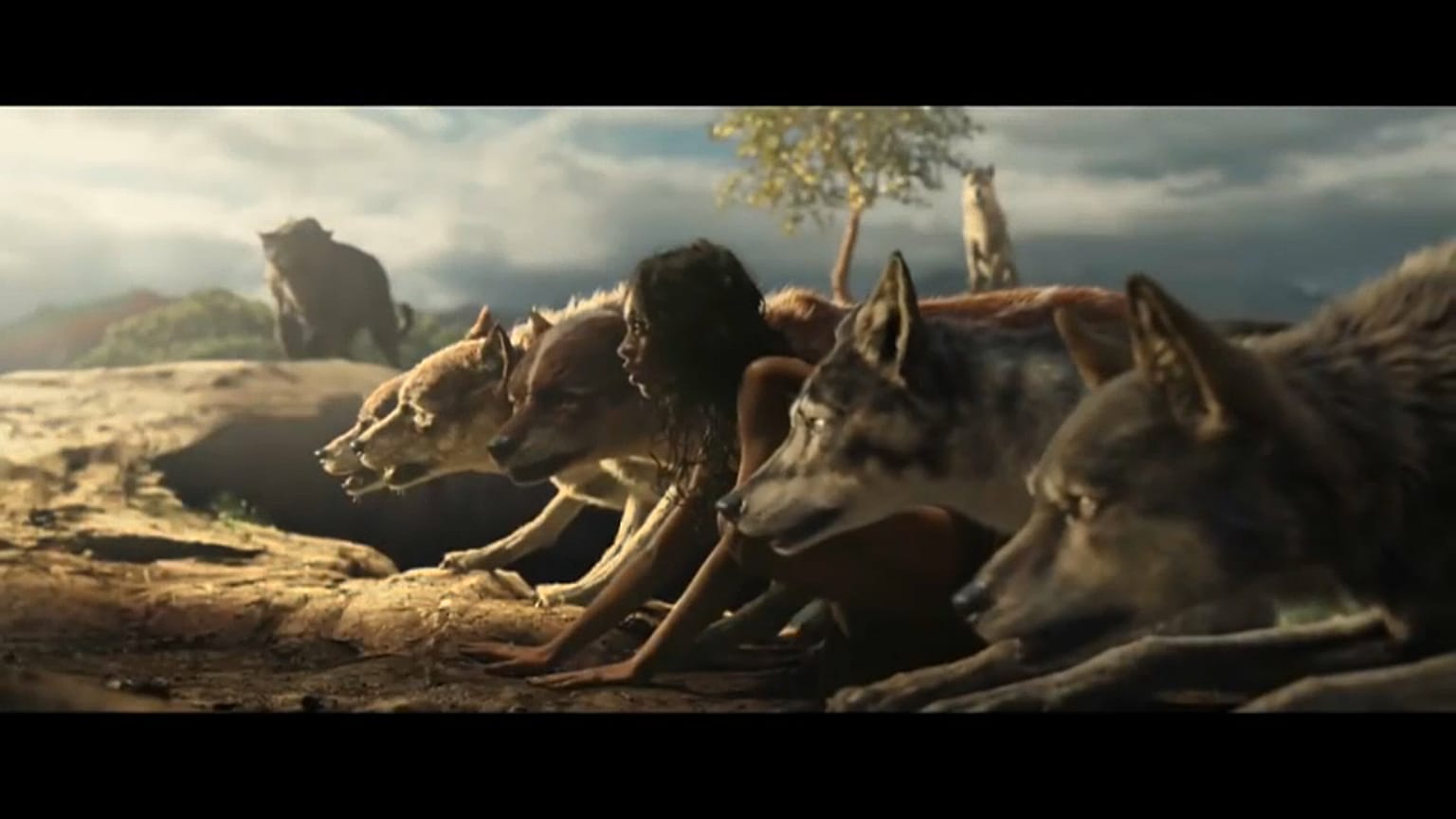 قصة فتى الأدغال " ماوكلي" في فيلم جديد من هوليوود
