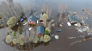 Des citoyens en quête de justice climatique